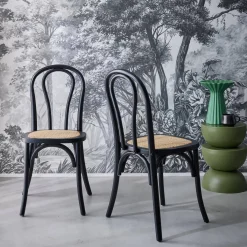 2er-Set Vintage-Stühle aus Holz und Rattan-Geflecht