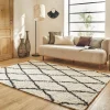 Indoor Teppich Shaggy, Berber-Stil, weiß und schwarz