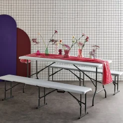 Partytisch + Bänke zusammenklappbar, Kunststoff