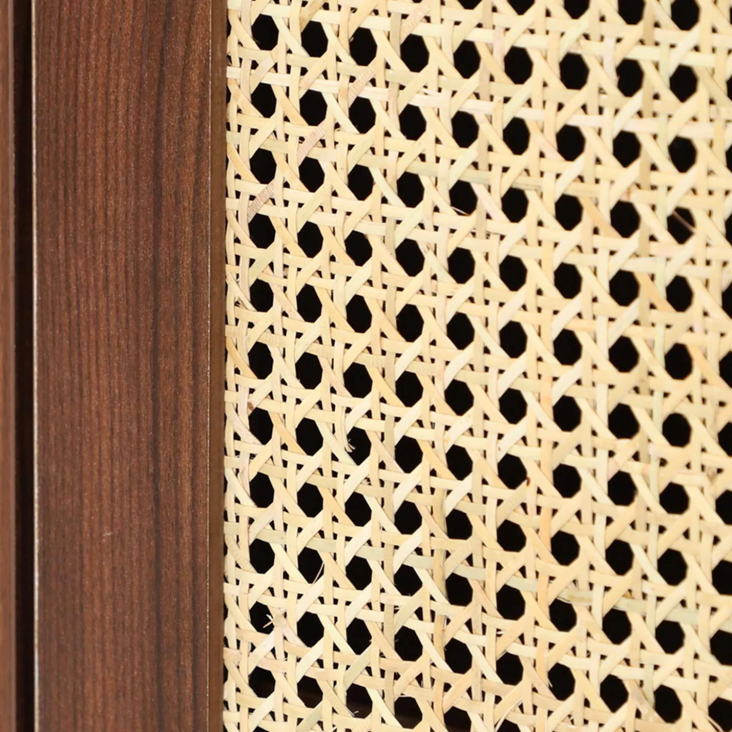 Schuhschrank / kleines Sideboard mit 2 Türen und Rattan-Geflecht